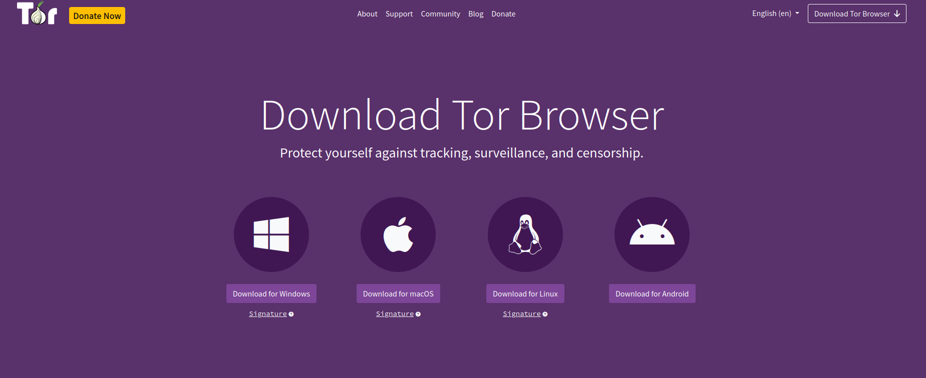 Downloading Tor Browser for Darknet Link Access