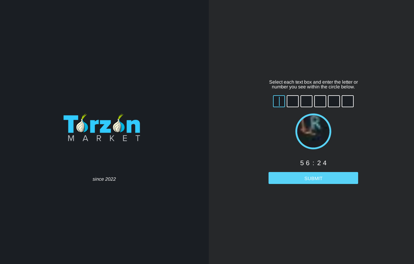 Torzon Market Anti-DDoS Challenge